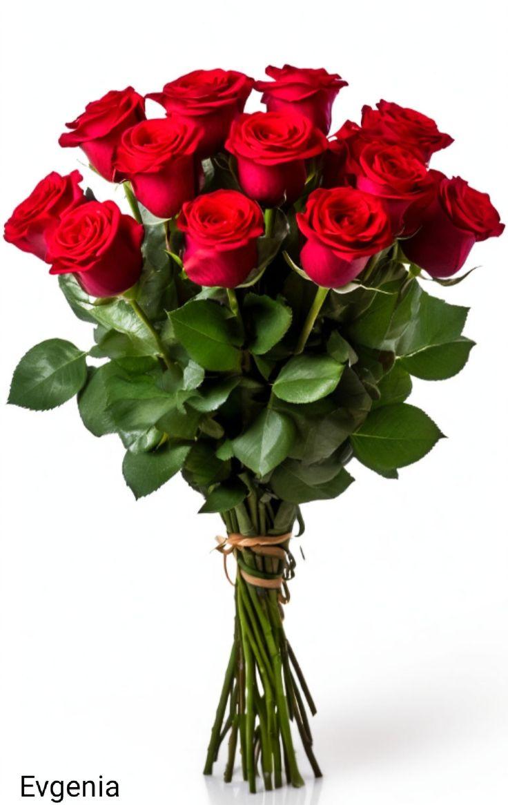 Nova Crate Gentle workshop space where corporate flower arrangements are designed and prepared for business delivery